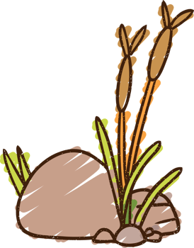 Reeds Chalk Drawing png