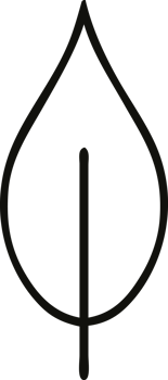 line drawing cartoon of a autumn leaf png