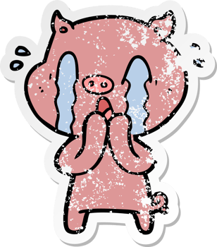 distressed sticker of a crying pig cartoon png