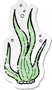retro distressed sticker of a cartoon seaweed png