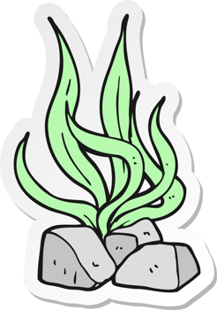 sticker of a cartoon seaweed png