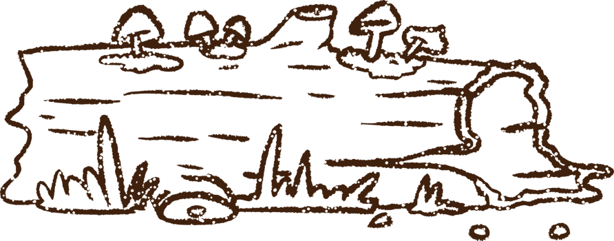 Rotting Log Charcoal Drawing png