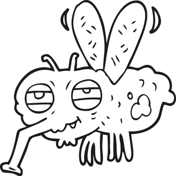 drawn black and white cartoon fly png