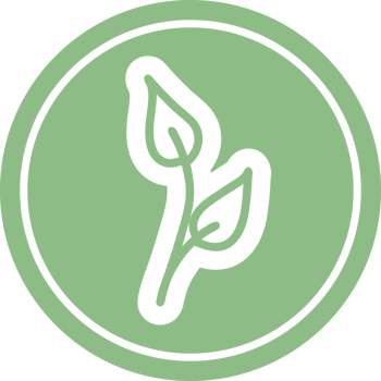 natural leaf circular icon symbol png