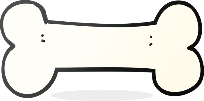 drawn cartoon bone png