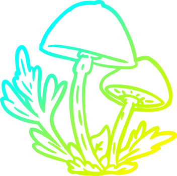cold gradient line drawing of a wild mushrooms png