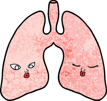cartoon lungs drawing png