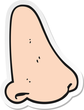 sticker of a cartoon human nose png