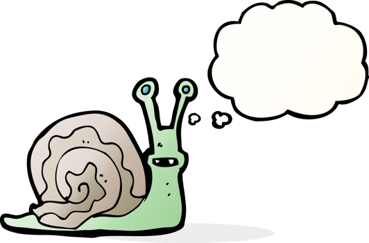 cartoon snail with thought bubble png