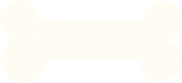 flat color illustration of bone png