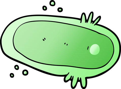 cartoon amoeba drawing png