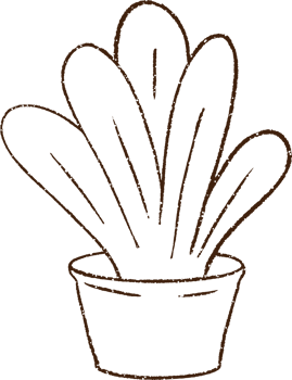 Houseplant Charcoal Drawing png