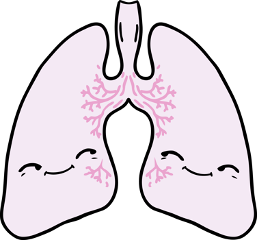 cartoon lungs drawing png