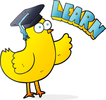 hand drawn cartoon bird with learn text png