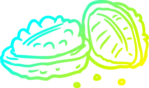 cold gradient line drawing of a walnuts png