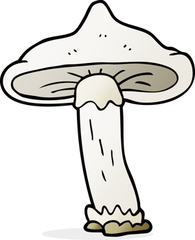 hand drawn cartoon mushroom png