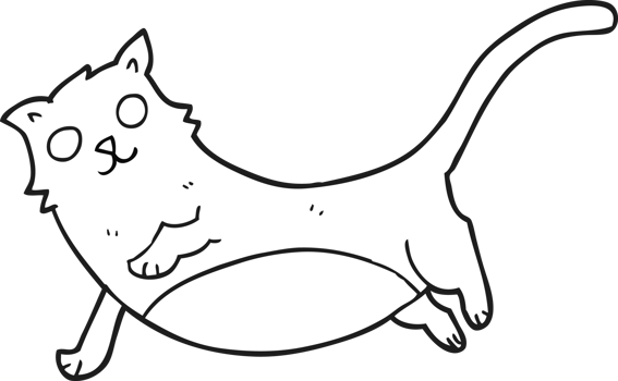 hand drawn black and white cartoon cat png
