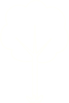 Tree Chalk Drawing png