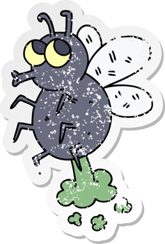 distressed sticker of a quirky hand drawn cartoon fly png