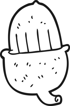 drawn black and white cartoon acorn png
