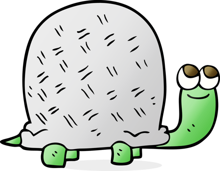 drawn cartoon tortoise png