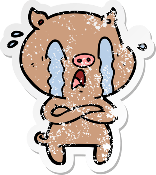 distressed sticker of a crying pig cartoon png