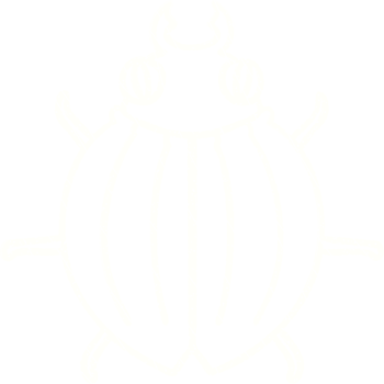 Bug Chalk Drawing png