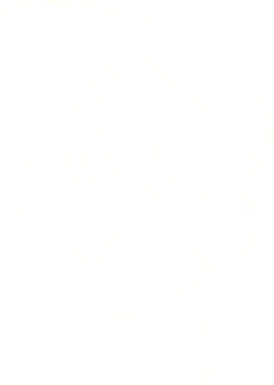 Leaf Chalk Drawing png