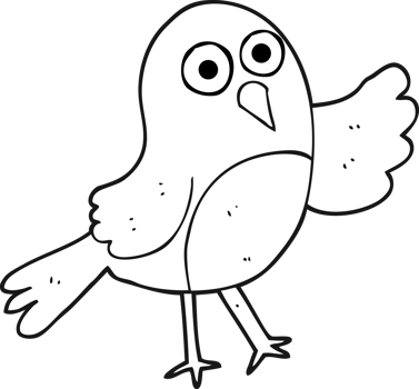 hand drawn black and white cartoon bird png
