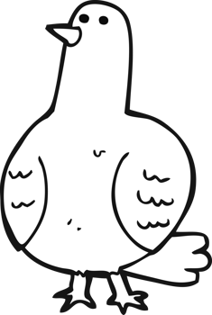 hand drawn black and white cartoon bird png