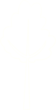 Tree Chalk Drawing png
