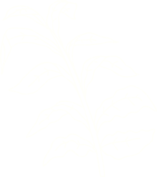 Wild Plant Chalk Drawing png