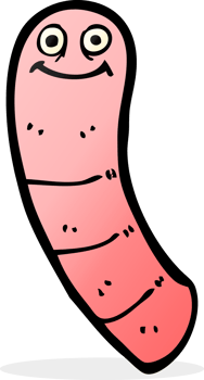 cartoon worm drawing png