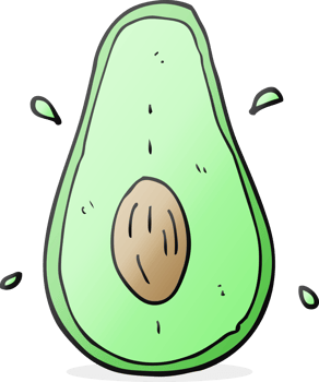 hand drawn cartoon avocado png
