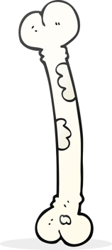 hand drawn cartoon bone png