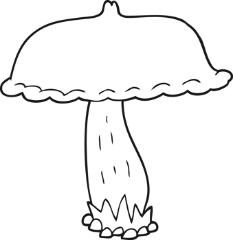 hand drawn black and white cartoon mushroom png