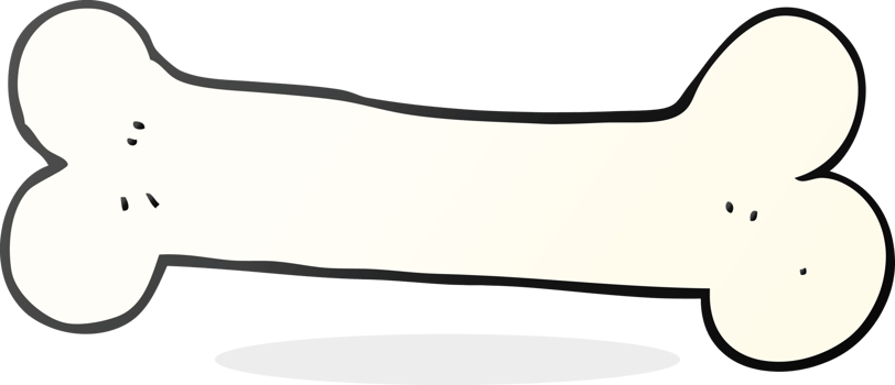 hand drawn cartoon bone png
