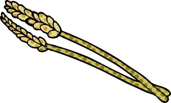 cartoon doodle wheat png