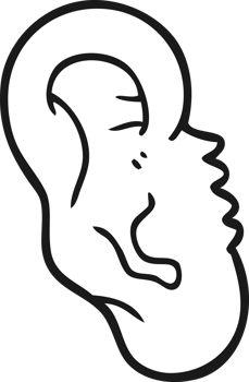 hand drawn black and white cartoon human ear png