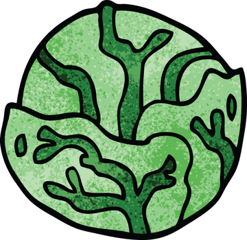 cartoon doodle cabbage png