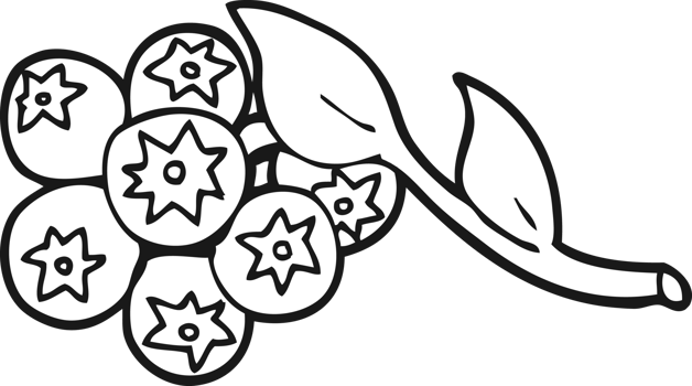 hand drawn black and white cartoon blueberries png