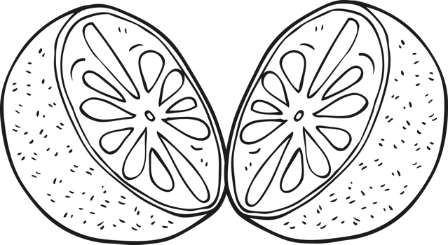 hand drawn black and white cartoon half melon png