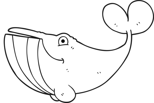 hand drawn black and white cartoon whale png
