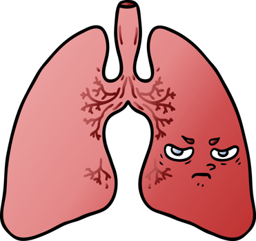 cartoon lungs drawing png