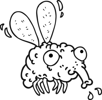 hand drawn black and white cartoon fly png