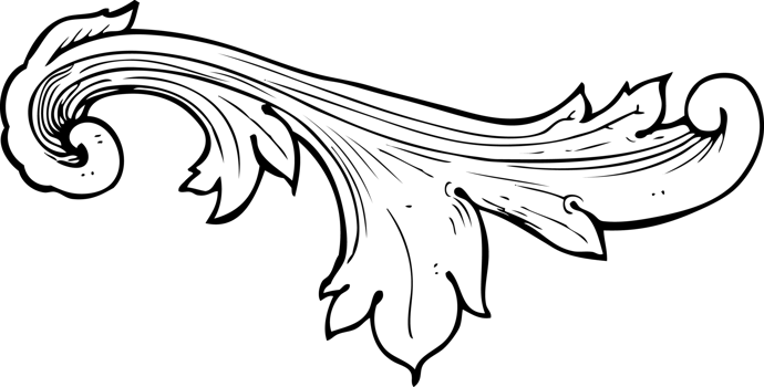 traditional hand drawn floral swirl png