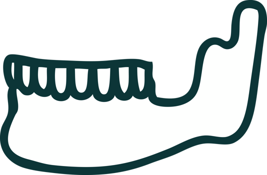 iconic tattoo style image of a skeleton jaw png