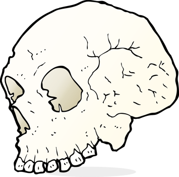 skull illustration drawing png