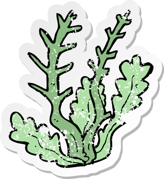 retro distressed sticker of a cartoon seaweed png