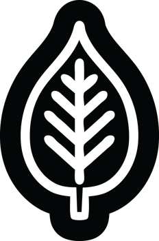 natural leaf icon symbol png
